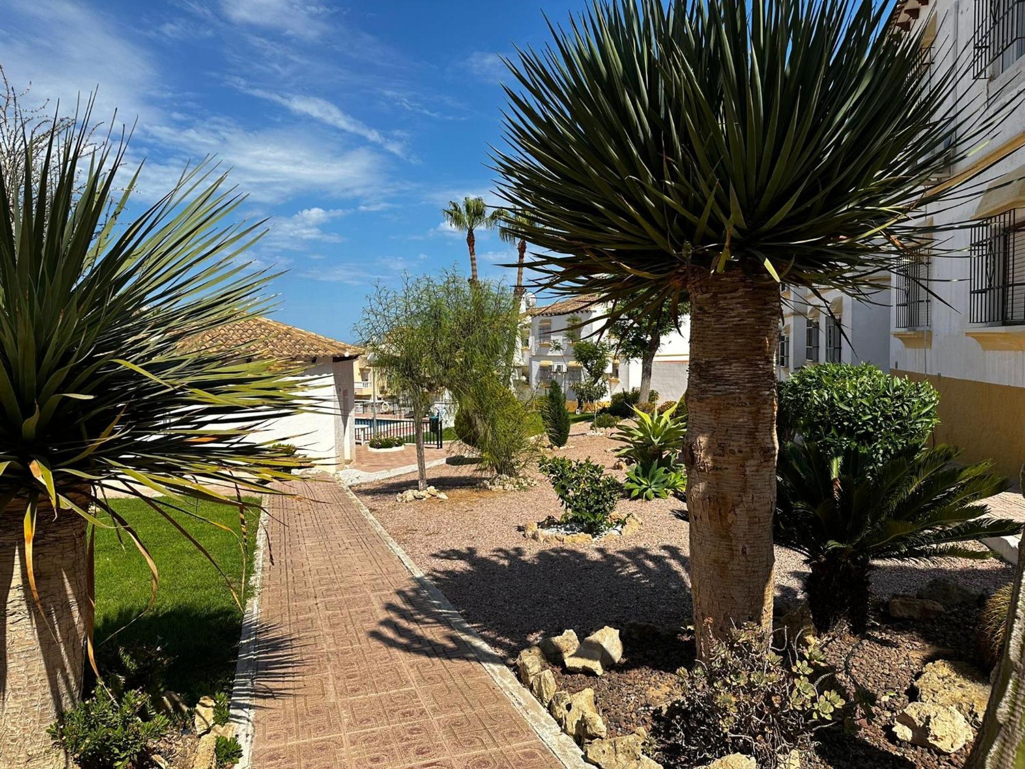 Las Carolinas Residence With Pool San Miguel De Salinas Eksteriør bilde